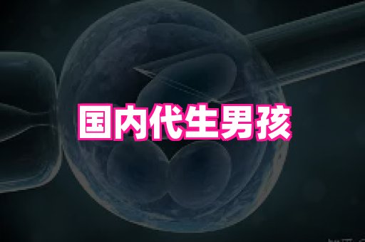 天津助孕网站 2